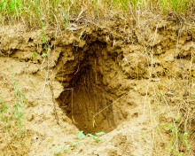 История станицы Краснодонецкой на Северском Донце