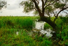 История станицы Краснодонецкой на Северском Донце