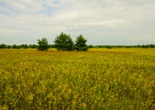 История станицы Краснодонецкой на Северском Донце