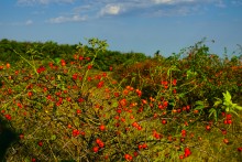 Раздорские склоны над хутором Пухляковский.
