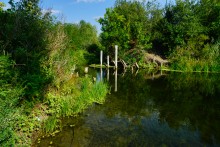 Старые броды и мосты через Сухой Донец у хутора Каныгин