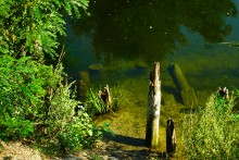 Старые броды и мосты через Сухой Донец у хутора Каныгин