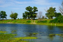 Старые броды и мосты через Сухой Донец у хутора Каныгин