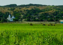 Старые броды и мосты через Сухой Донец у хутора Каныгин