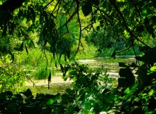 Старые броды и мосты через Сухой Донец у хутора Каныгин