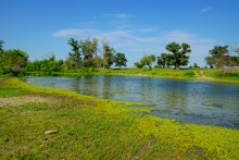 Старые броды и мосты через Сухой Донец у хутора Каныгин