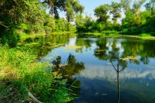 Старые броды и мосты через Сухой Донец у хутора Каныгин