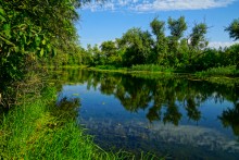Старые броды и мосты через Сухой Донец у хутора Каныгин