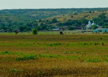 Старые броды и мосты через Сухой Донец у хутора Каныгин