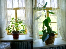 Этнографический музей Тихий Дон в хуторе Старозолотовский