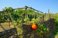 Этнографический музей Тихий Дон в хуторе Старозолотовский