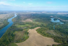 Памятники природу на Дону у хутора Калининского