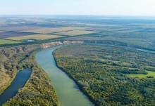 Памятники природу на Дону у хутора Калининского