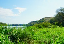 Памятники природу на Дону у хутора Калининского