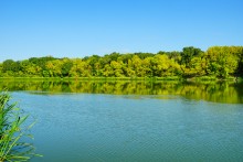 Памятники природу на Дону у хутора Калининского