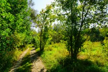 Памятники природу на Дону у хутора Калининского