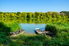 Памятники природу на Дону у хутора Калининского