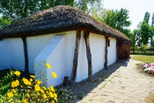 Праздник Кружилинские толоки на казачьем подворье в хуторе Кружилинском