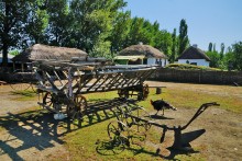 Праздник Кружилинские толоки на казачьем подворье в хуторе Кружилинском