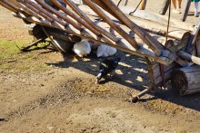 Праздник Кружилинские толоки на казачьем подворье в хуторе Кружилинском