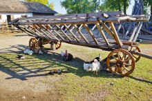 Праздник Кружилинские толоки на казачьем подворье в хуторе Кружилинском
