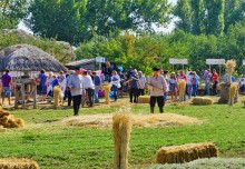 Праздник "Кружилинские толоки" в хуторе Кружилинском
