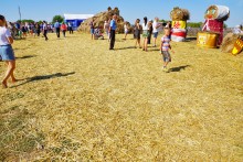 Праздник "Кружилинские толоки" в хуторе Кружилинском