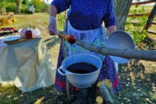 Праздник "Кружилинские толоки" в хуторе Кружилинском