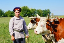 Праздник "Кружилинские толоки" в хуторе Кружилинском