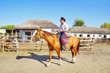 Праздник "Кружилинские толоки" в хуторе Кружилинском