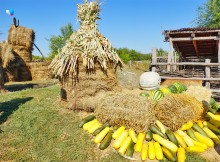 Праздник "Кружилинские толоки" в хуторе Кружилинском