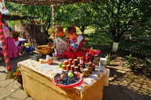 Праздник "Кружилинские толоки" в хуторе Кружилинском