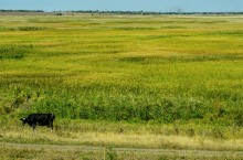 История и природа долины Кагальника