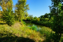 Река Чир у станицы Каргинской