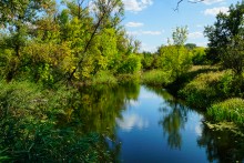 Река Чир у станицы Каргинской