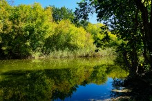 Река Чир у станицы Каргинской