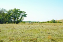 Река Чир у станицы Каргинской