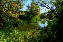 Река Чир у станицы Каргинской