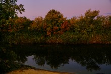 Река Чир у станицы Каргинской