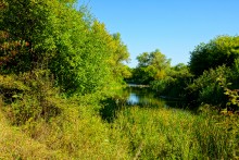 Река Чир у станицы Каргинской