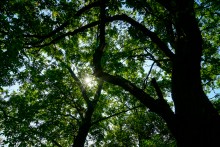 Сказочное Лукоморье в Морском Чулеке на берегу Таганрогского залива.