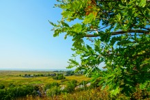 Сказочное Лукоморье в Морском Чулеке на берегу Таганрогского залива.