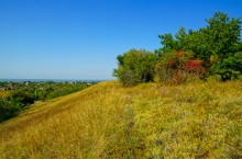 Сказочное Лукоморье в Морском Чулеке на берегу Таганрогского залива.