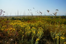 Сказочное Лукоморье в Морском Чулеке на берегу Таганрогского залива.