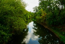 "Розы пустыни" на песчаных обрывах в Примиусье