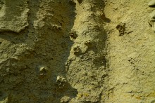 "Розы пустыни" на песчаных обрывах в Примиусье