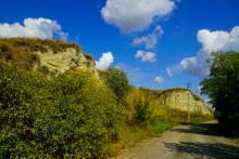 "Розы пустыни" на песчаных обрывах в Примиусье