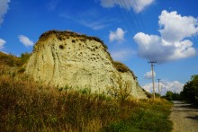 "Розы пустыни" на песчаных обрывах в Примиусье