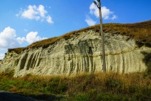 "Розы пустыни" на песчаных обрывах в Примиусье