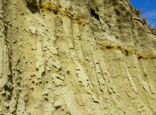 "Розы пустыни" на песчаных обрывах в Примиусье